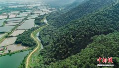 广东西江流域国土绿化项目获中央财政支持 预计补助8.56亿元